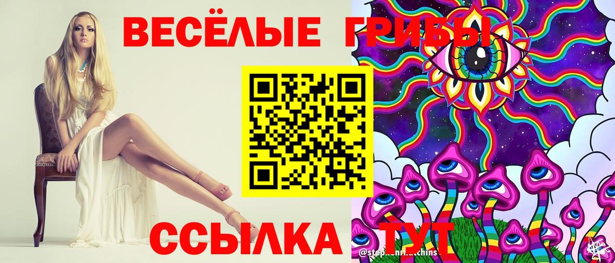 Галлюциногенные грибы мицелий  Вход с VPN  Менделеевск 