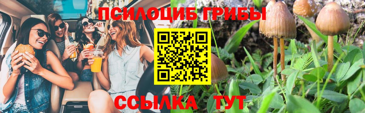Галлюциногенные грибы мицелий Менделеевск